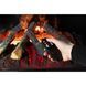 Парова електрична вставка Royal 3D Inferno LED InfernoLED фото 6
